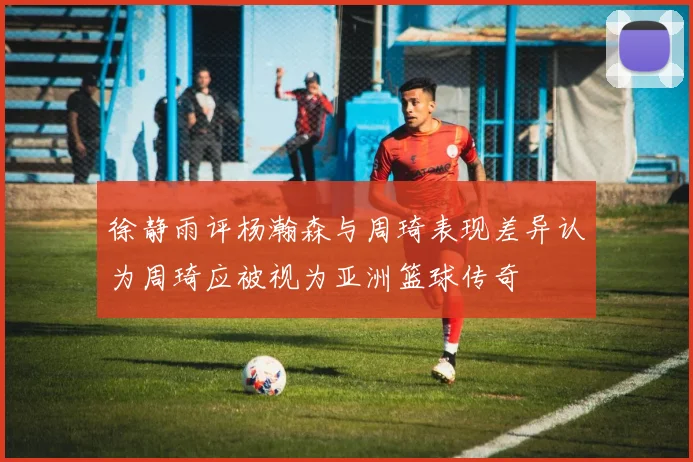 徐静雨评杨瀚森与周琦表现差异认为周琦应被视为亚洲篮球传奇