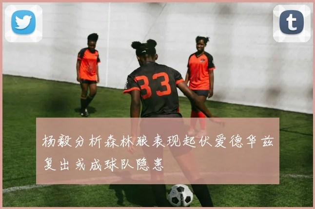 杨毅分析森林狼表现起伏爱德华兹复出或成球队隐患